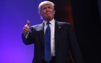 17645083170_8e65fd5abf_o