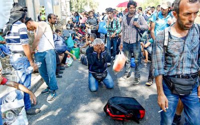 20643299043_20a8f44df3_o