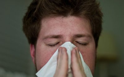 4195919691_c296b3de9b_o