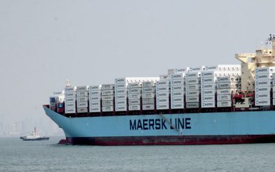 7454157766_d8fef540b6_o