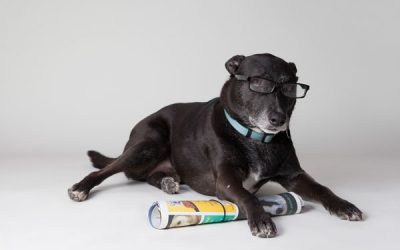 8055190667_d05b8b3533_o