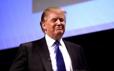 wefwef