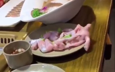 Untitled-1