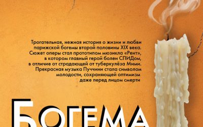 bogema-1