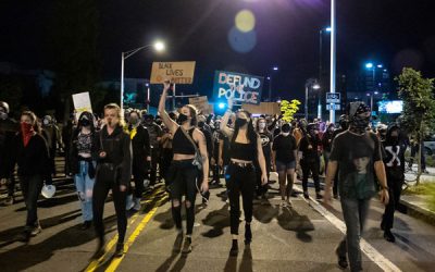 vdfbd