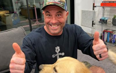 rogan