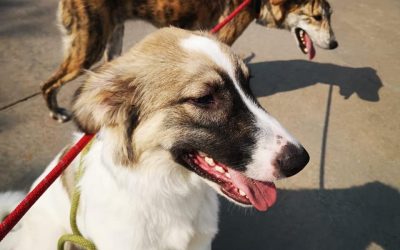 220763182_4075581179207804_6520449349590751932_n