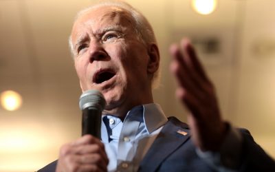 49536512163_7a15291ee4_c