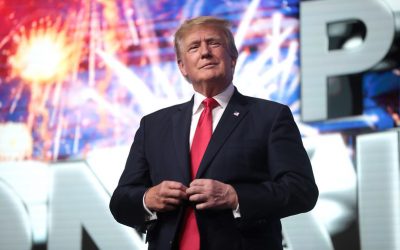 51336033914_377c7781e5_c