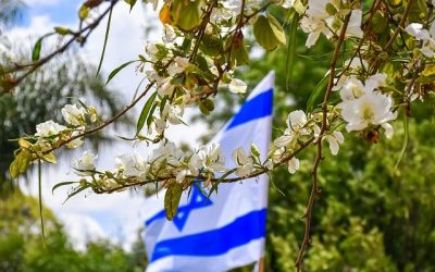 israeli-flag-4404258_640