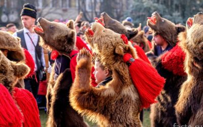 Медвежьи танцы, Румыния и Молдова