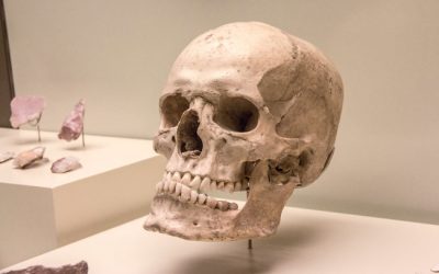 gft5