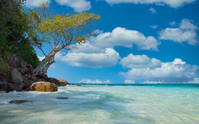 hinh-anh-bien-dep-tho-mong