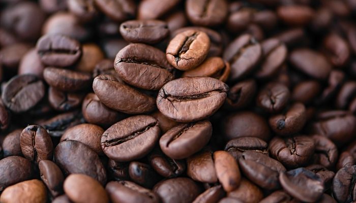 25100329_coffee-ga8.jpg