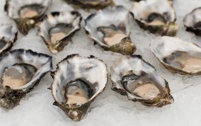 oysters-2220607_960_720