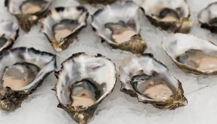 oysters-2220607_960_720