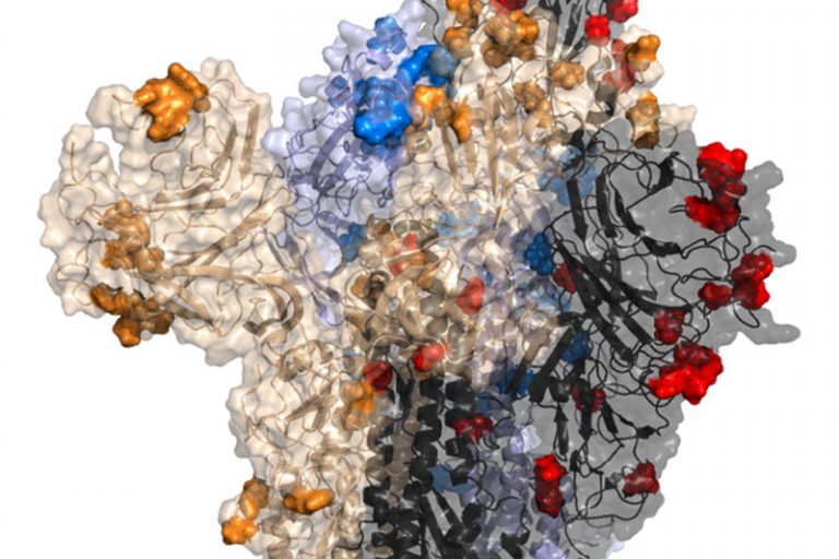 stgetyh