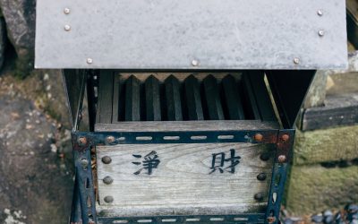 collection-5510401_960_720