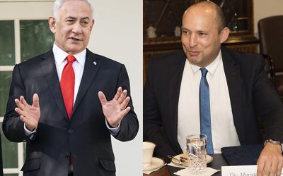 49676496227_e0945ed52e_c