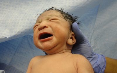 baby-g1744dedf5_1280