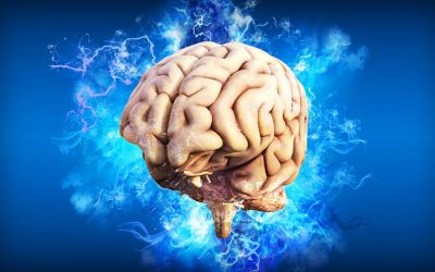 brain-gcd8731740_1920