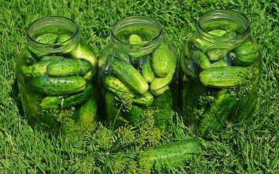 cucumbers-849268_960_720