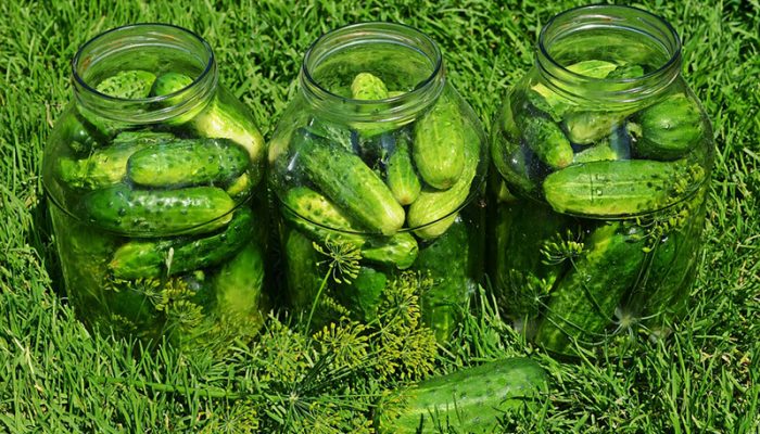 cucumbers-849268_960_720