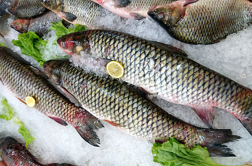 Фармацевт предупреждает о канцерогенности определенной рыбы