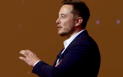 29680101130_5eeb088d46_o