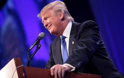 32215288003_d6d8f19264_c