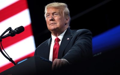 50042291358_30db55a422_c