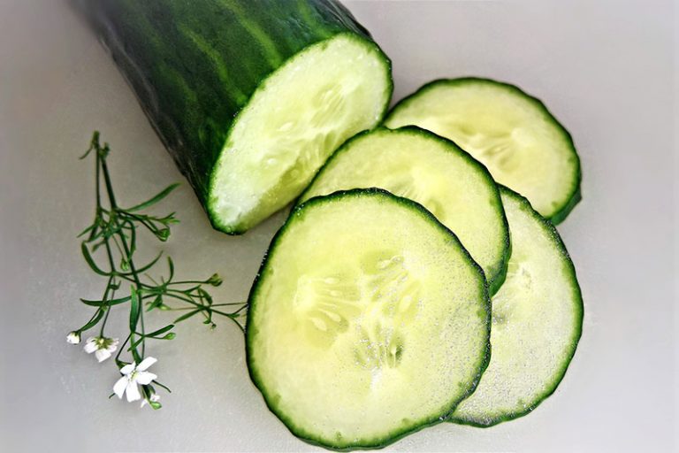 cucumber-gb48416b2f_1920