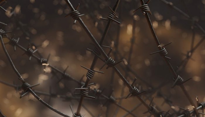 totalitarianism-g33cedeb28_1920