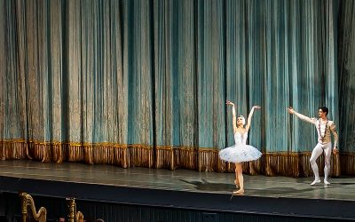 17837103144_86fc1829cb_c