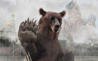 bear-5163733_960_720