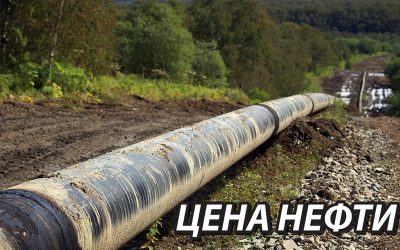 cena-nefti