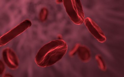 red-blood-cells-g8956dfbce_1280