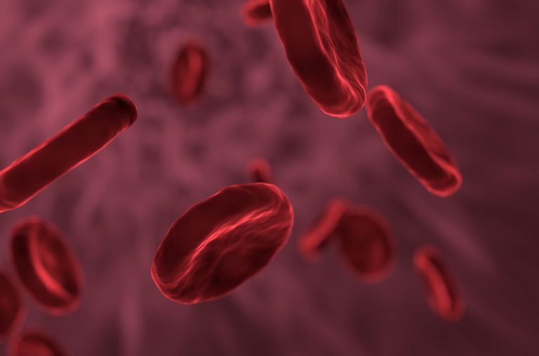 red-blood-cells-g8956dfbce_1280