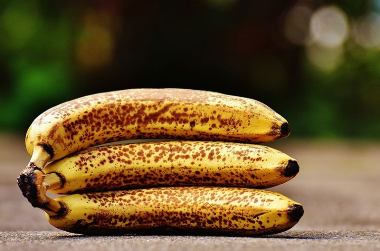 bananas-g44fe6f5ec_1920
