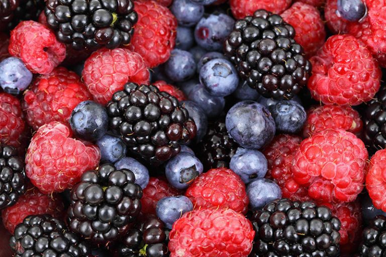 berries-g871fd5408_1920