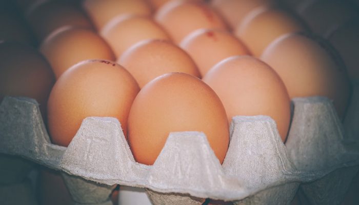 eggs-4059957_1920