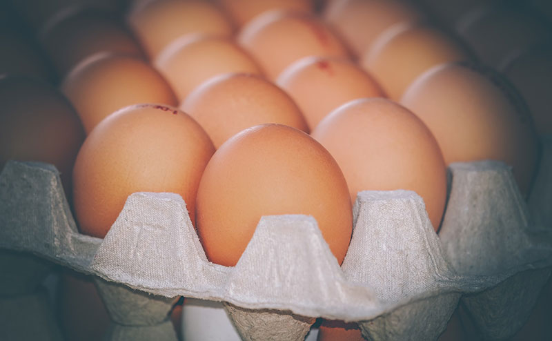 Семнадцать причин есть яйца каждый день