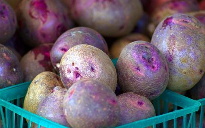 purple-potatoes-at-market-g82dc48ac9_1920