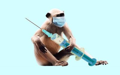 corona-5094653_960_720