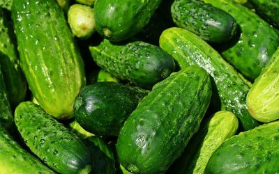 cucumbers-849269_960_720