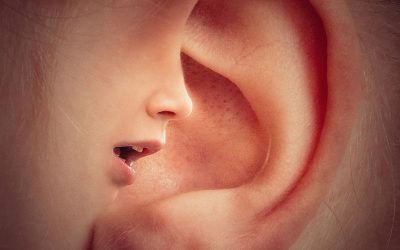 ear-g7bc5d7e72_1920