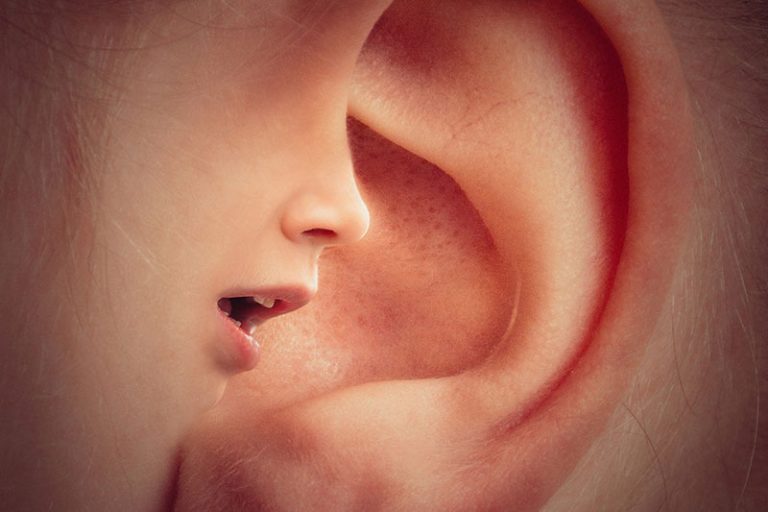 ear-g7bc5d7e72_1920