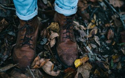 fall-1870012_960_720