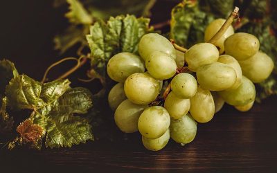 grapes-3696472_960_720