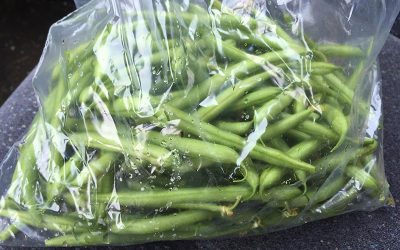 green-beans-g43a26f92f_1920